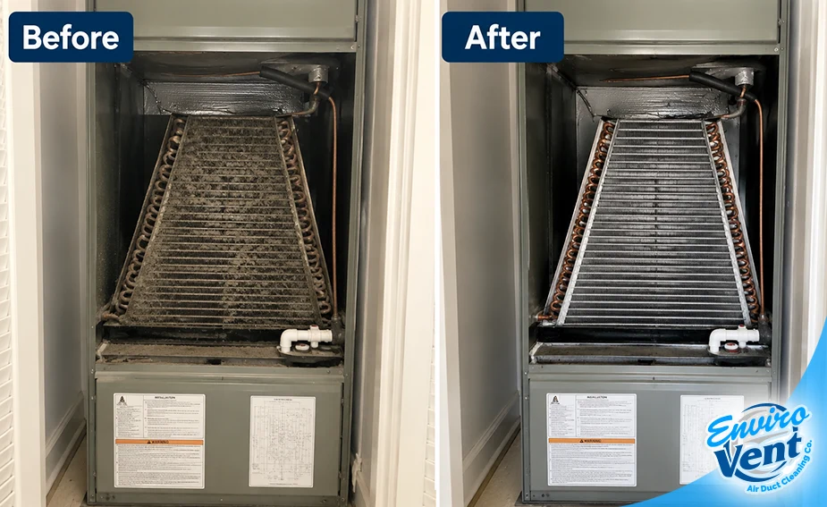 AC Coil Cleaning Services in Naples, Fort Myers, FL