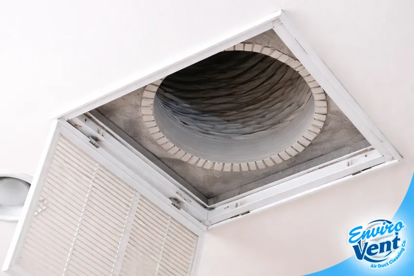 Chlorine Dioxide Services in Naples, Fort Myers, FL